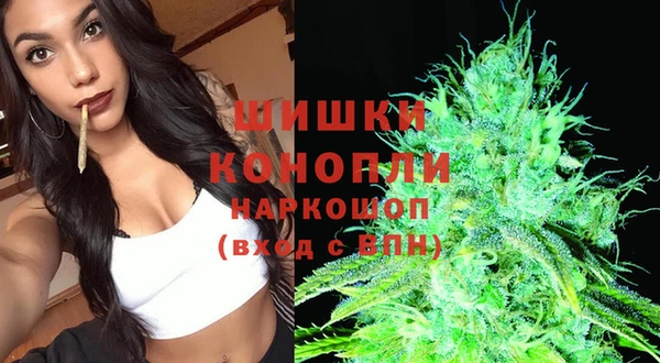 сатива Абаза