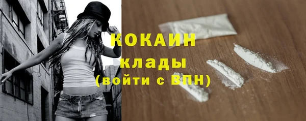 шишки Абдулино