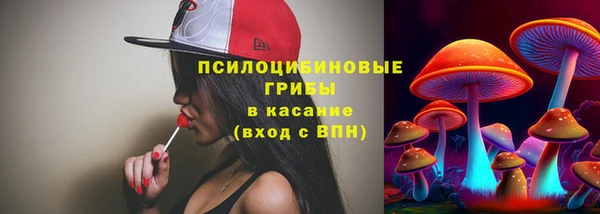 шишки Абдулино