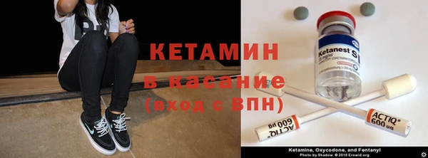 сатива Абаза