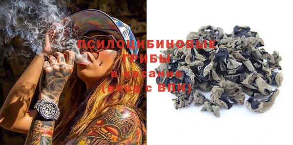 шишки Абдулино