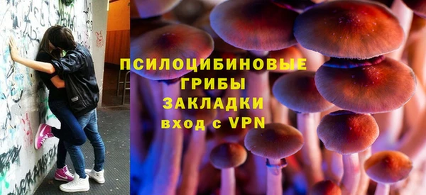 шишки Абдулино
