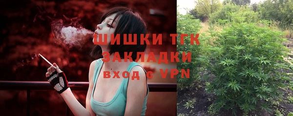 сатива Абаза