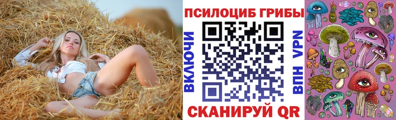 цены наркотик  Ряжск  Псилоцибиновые грибы мухоморы 